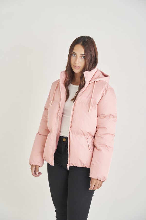 CAMPERA NANKIN - Imagen 2