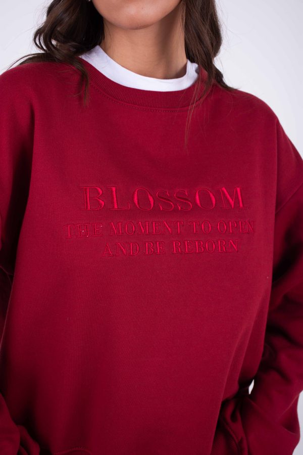 BUZO BLOSSOM - Imagen 2